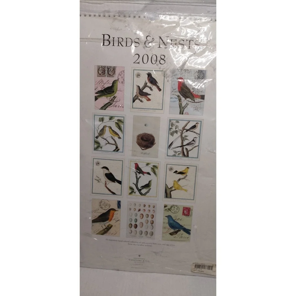 vintage collectible Birds & Nests 2008 Calendar artistic ornithology ephemera.